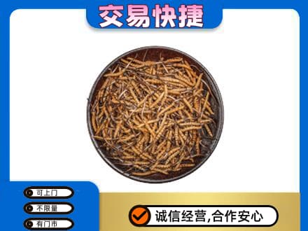 南票区回收散虫草