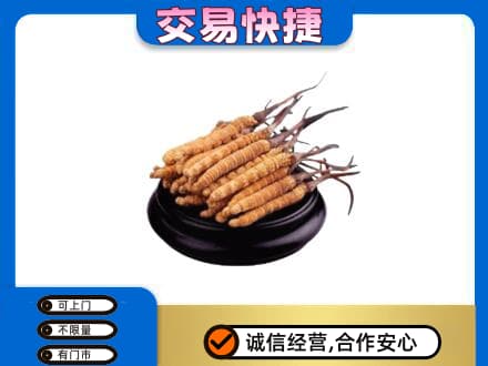 南票区高价回收冬虫夏草多少钱每克